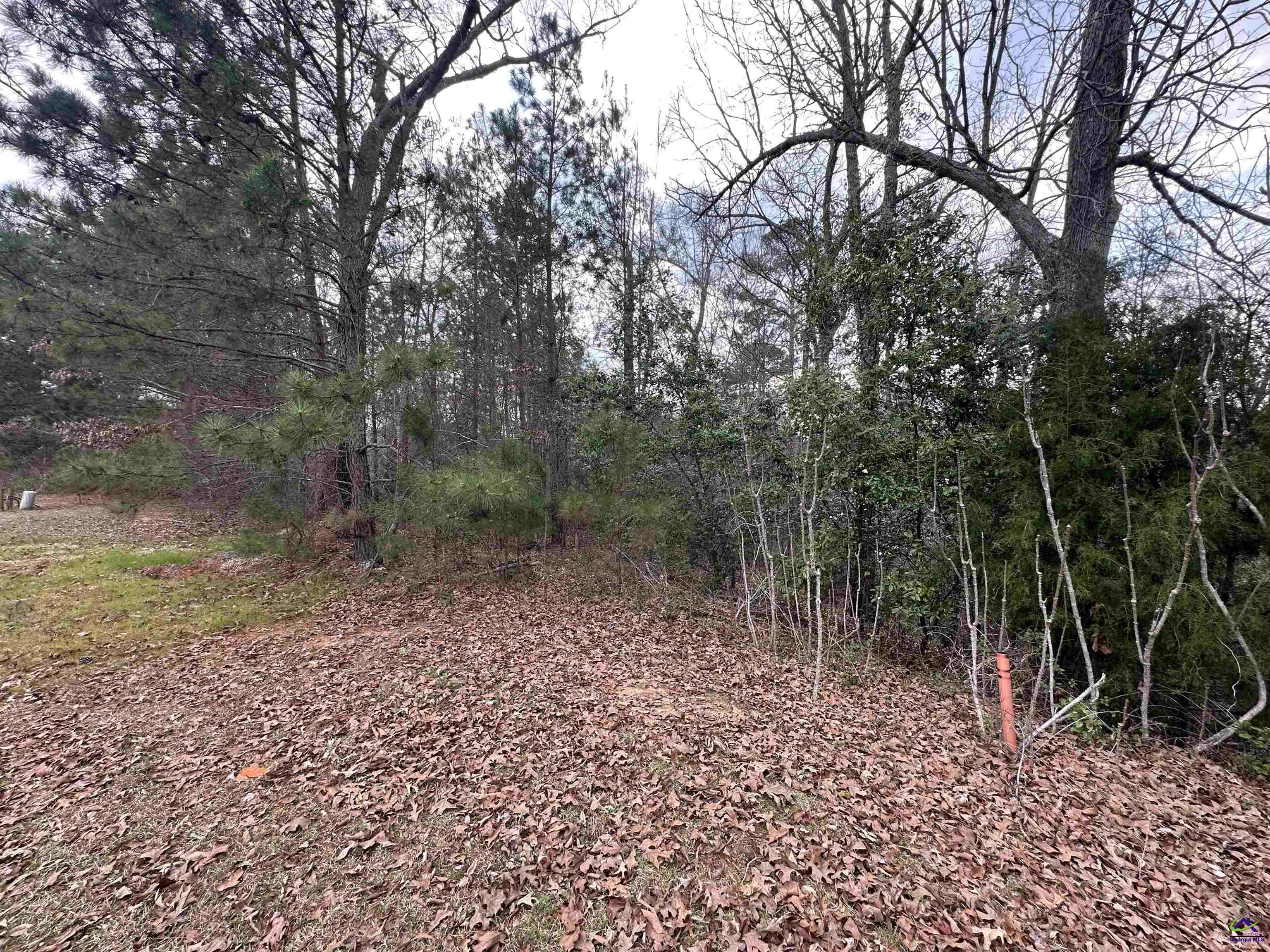 322 Wilsons Creek Bend