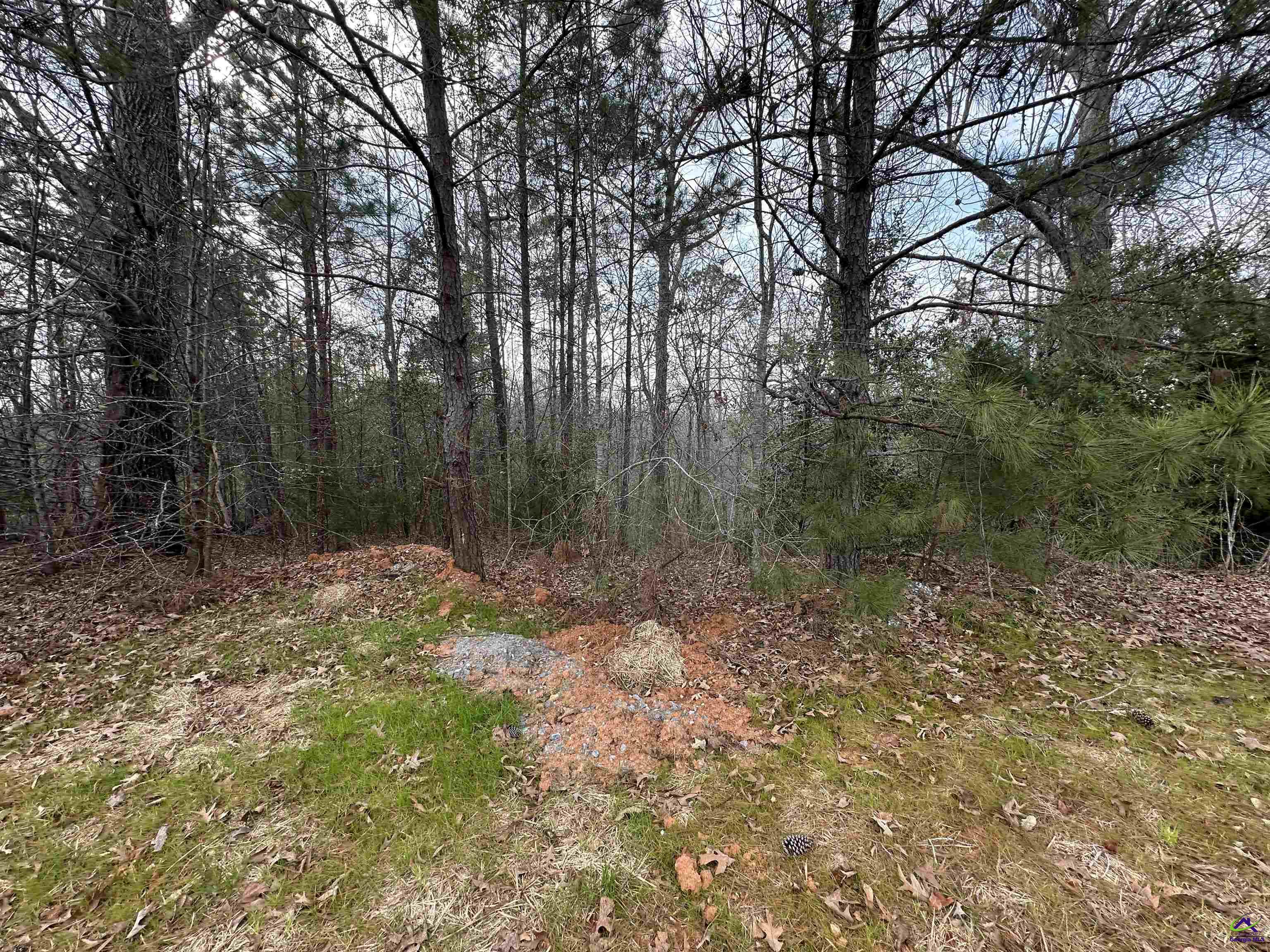 322 Wilsons Creek Bend