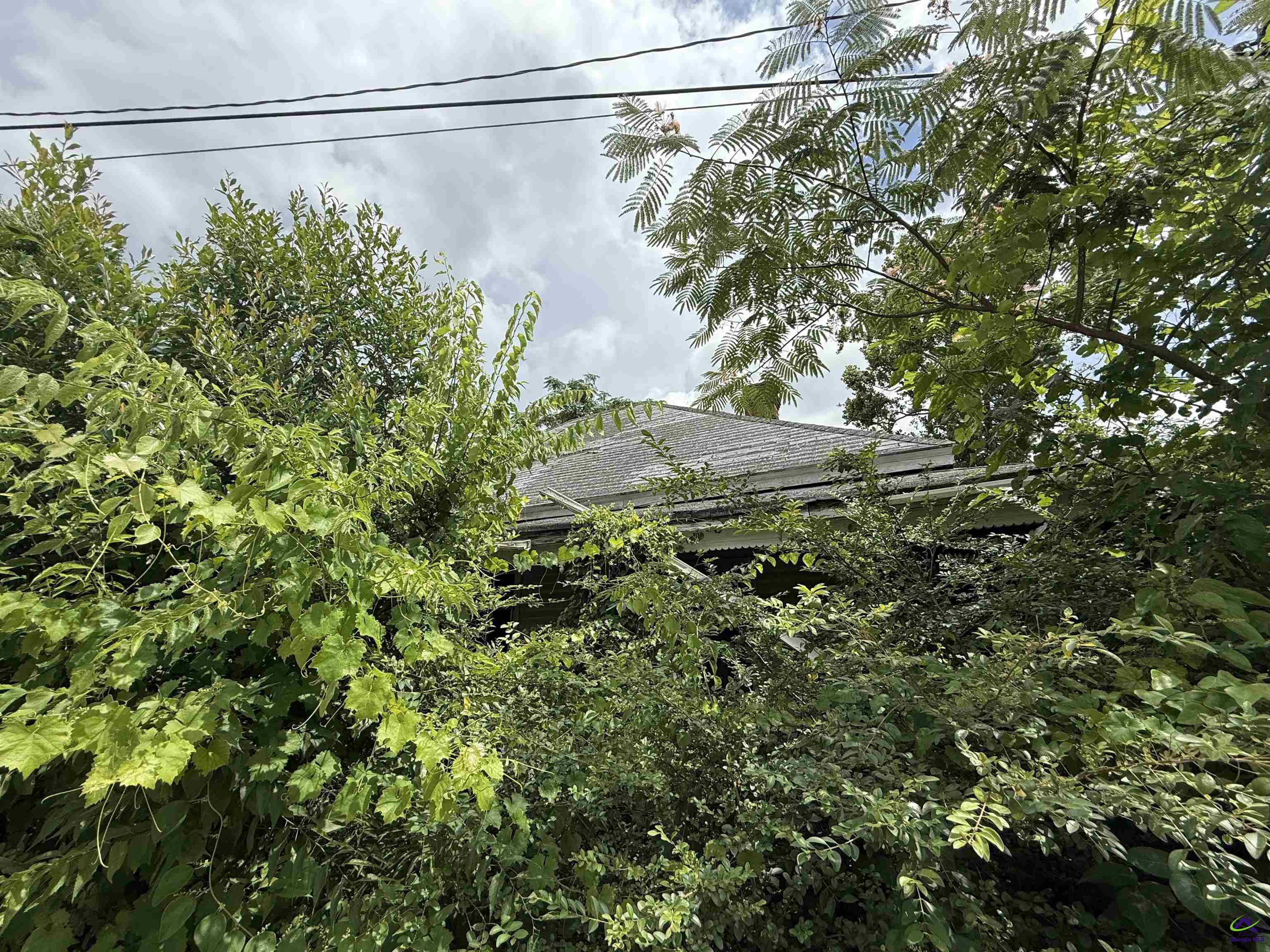 2035 Walnut Street
