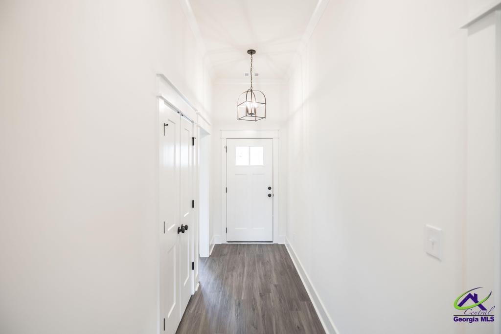 531 Bristleleaf Path