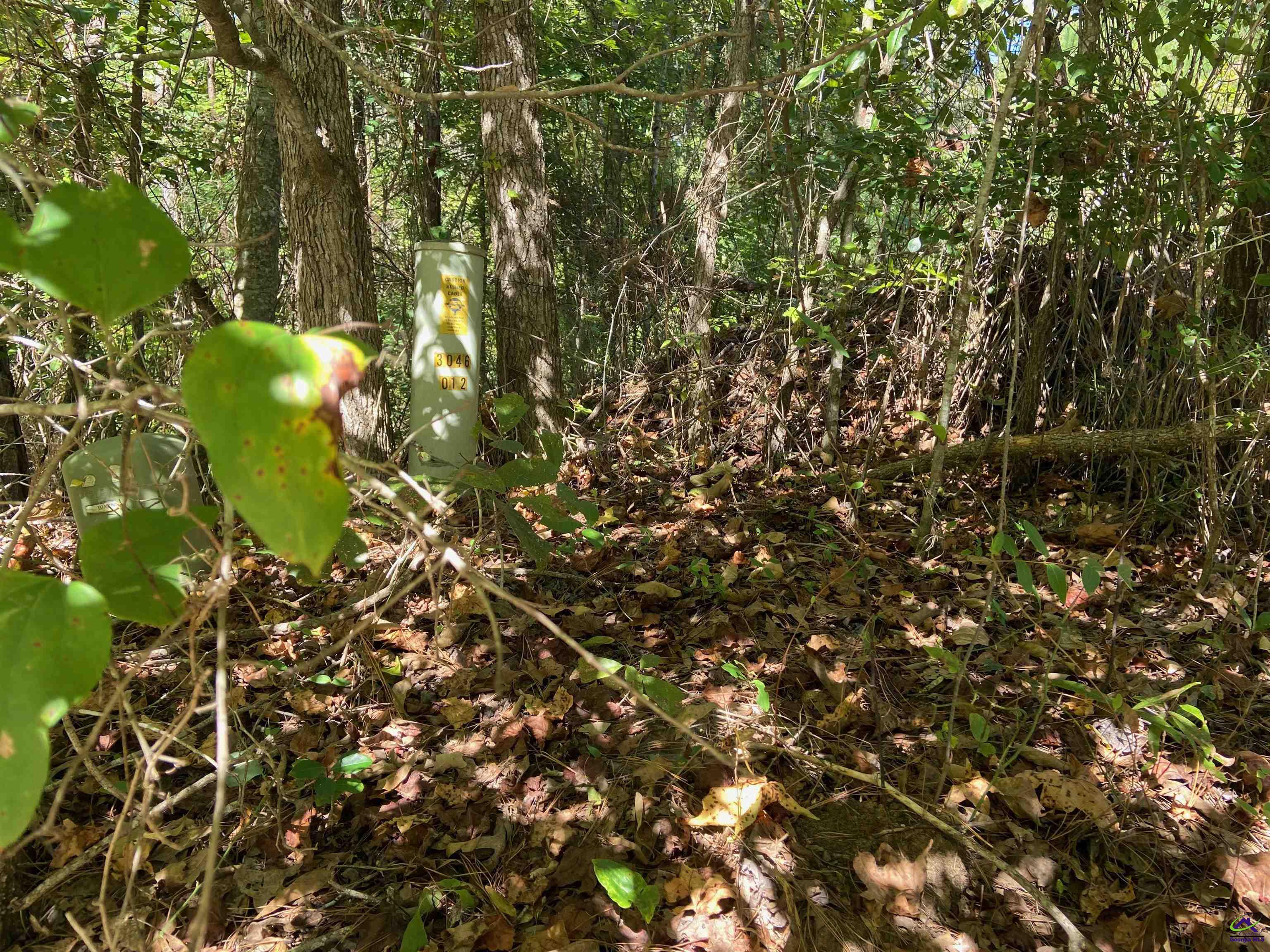 106 Maple Glen Court