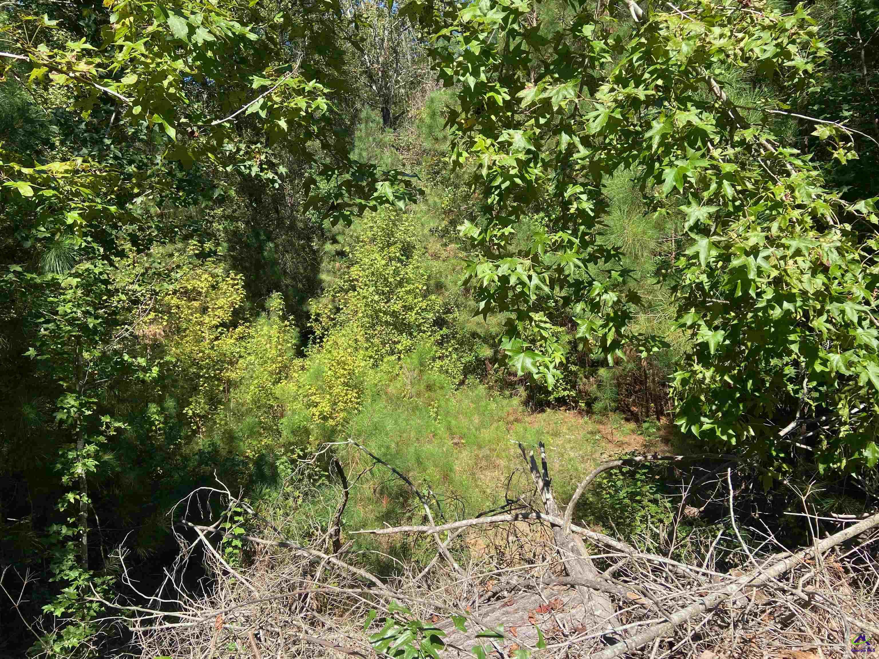 106 Maple Glen Court