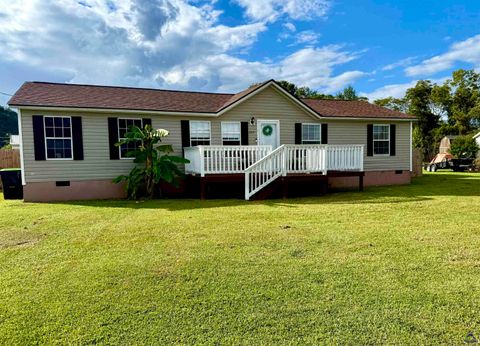 203 Colonial Drive Byron GA 31008