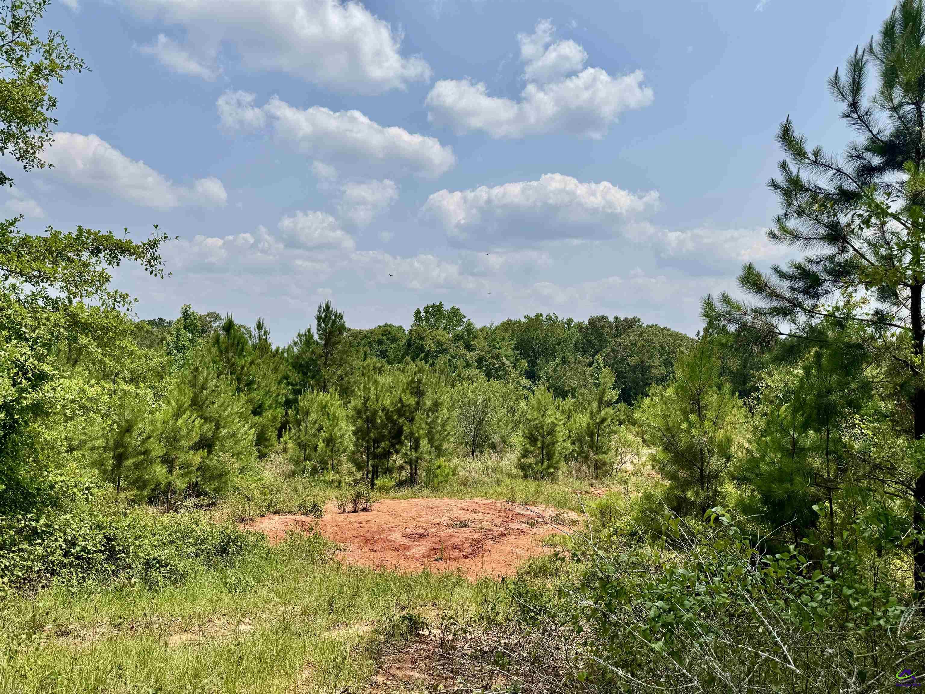 1828 Tribble Road