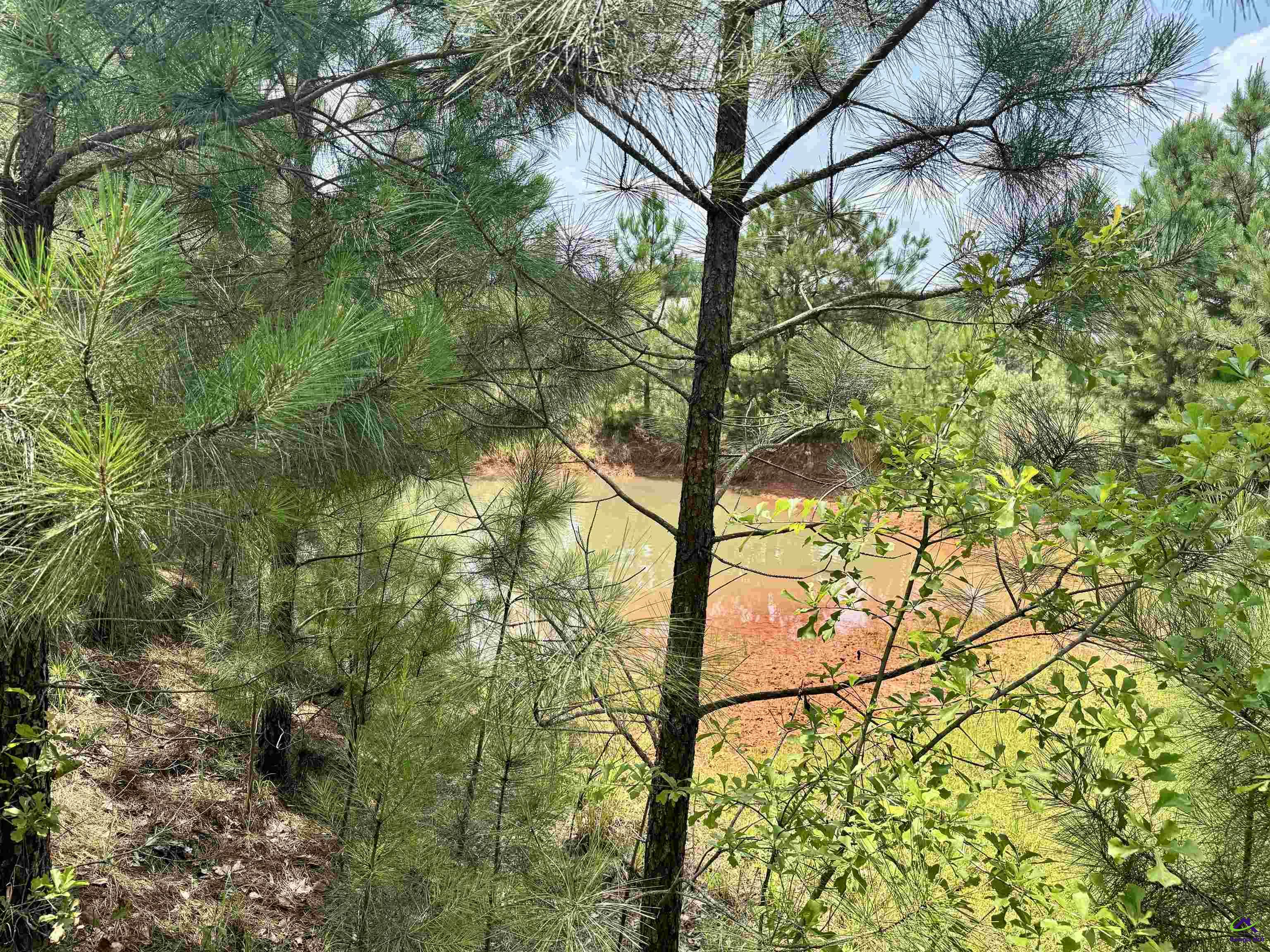1828 Tribble Road