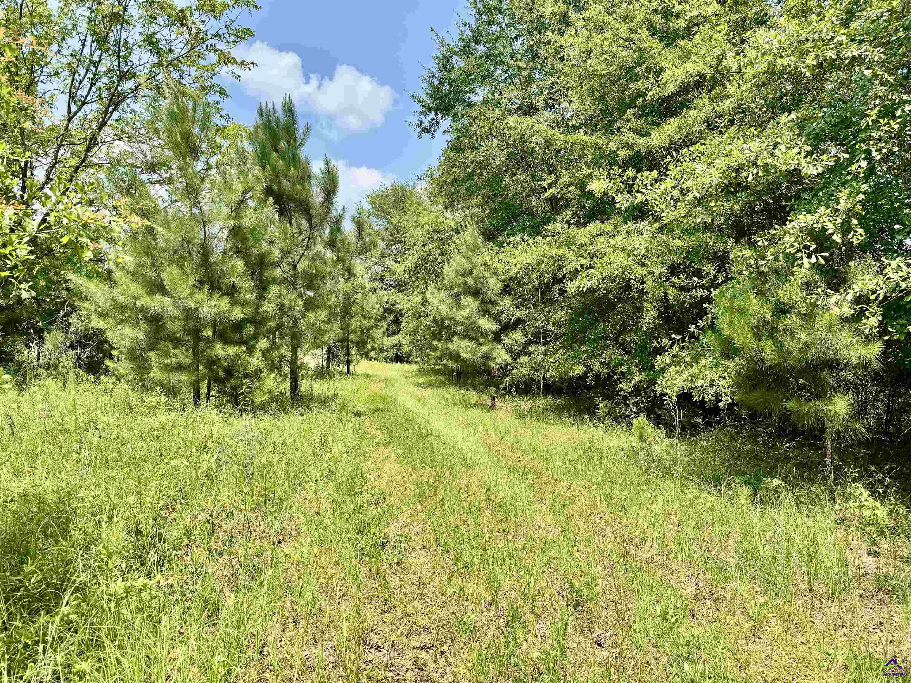 1828 Tribble Road