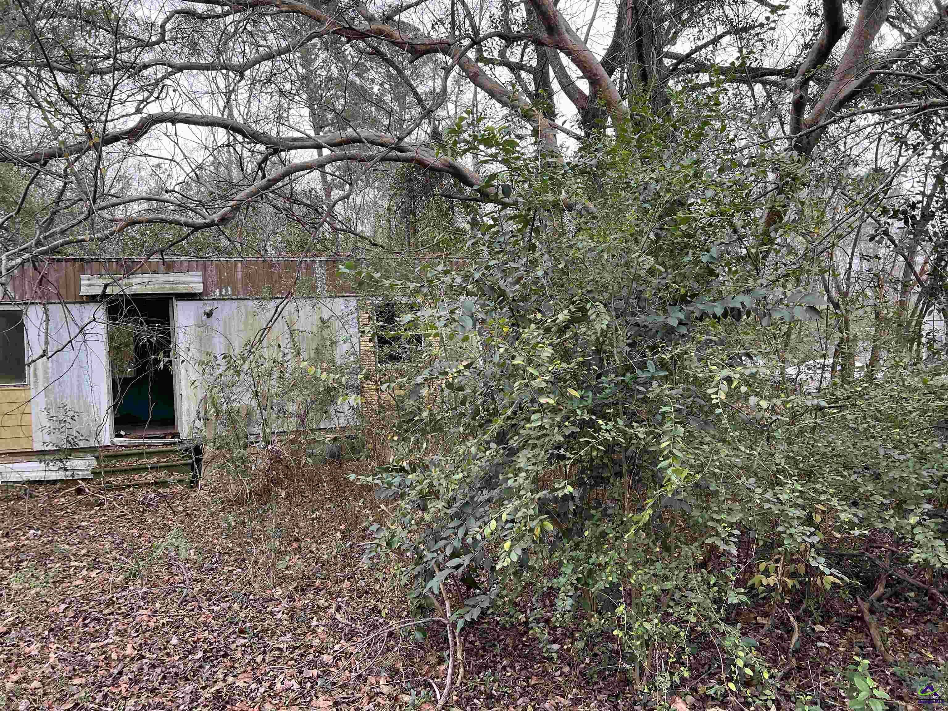 111 Persimmon Drive