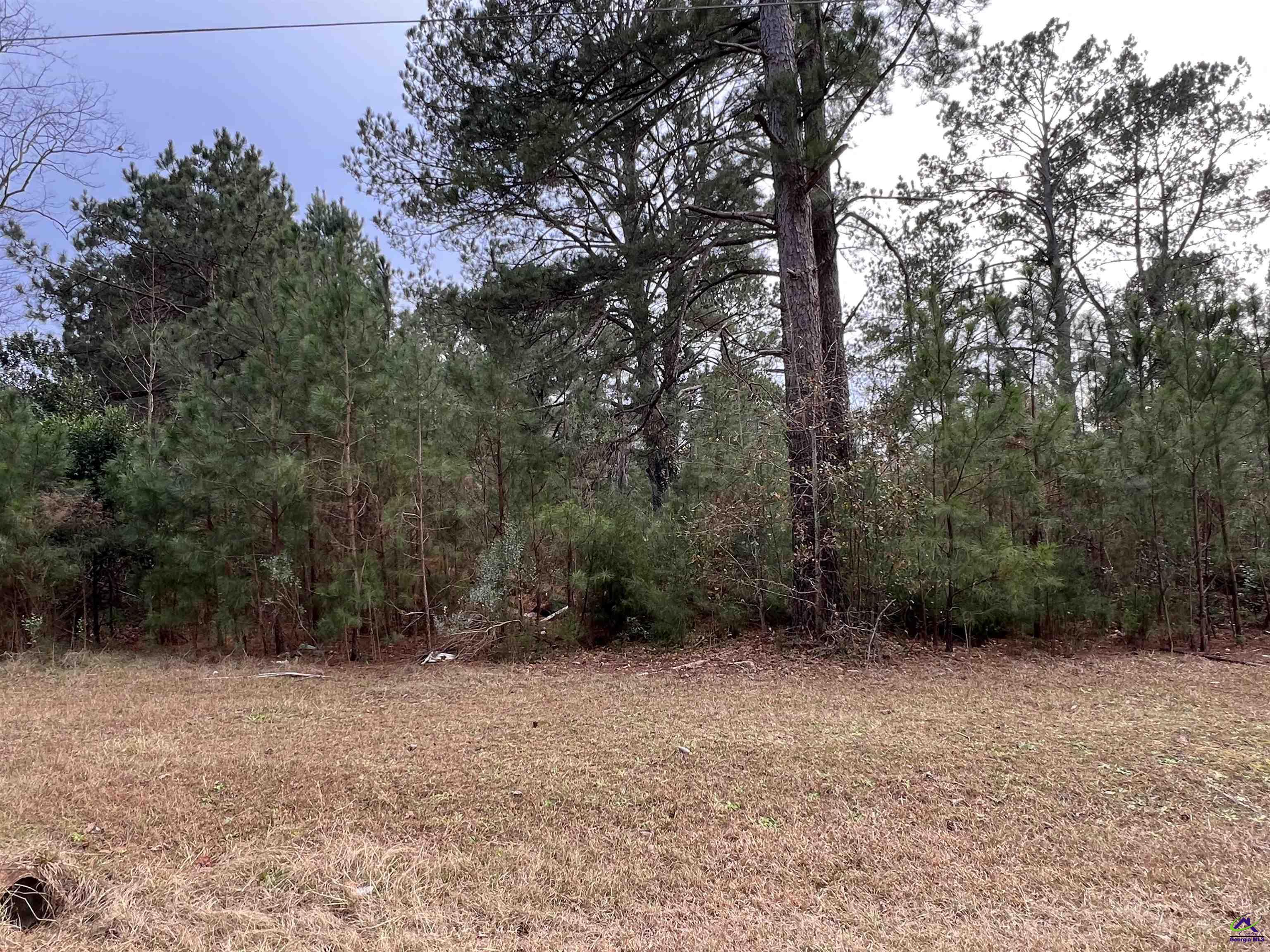 111 Persimmon Drive