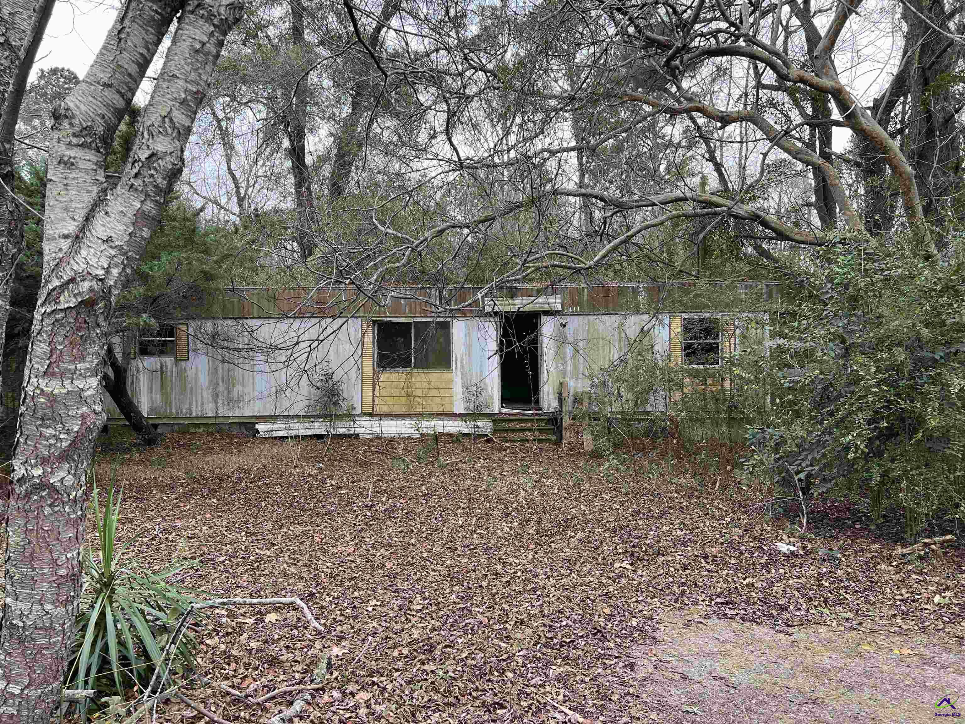 111 Persimmon Drive