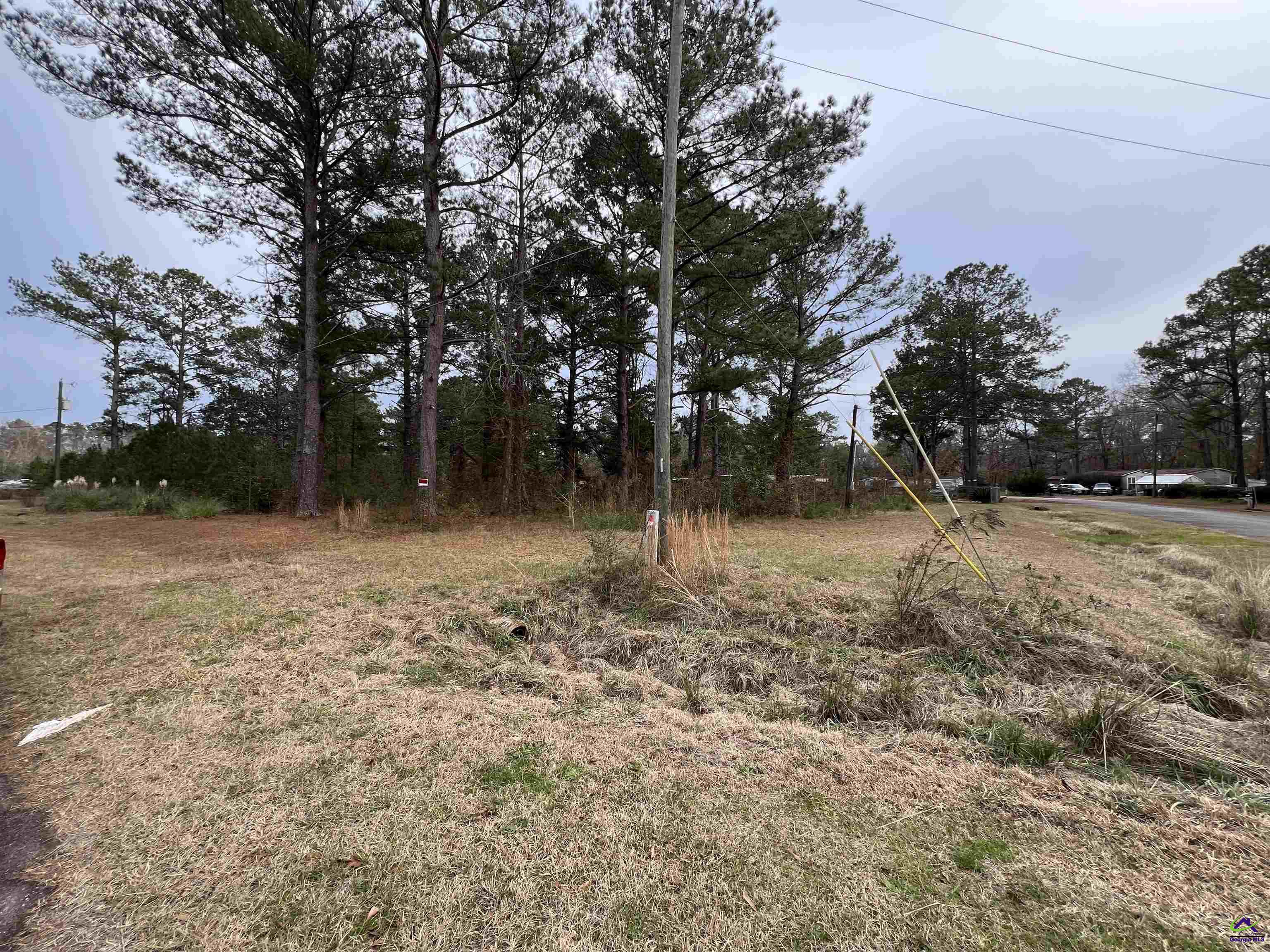 107 Persimmon Drive