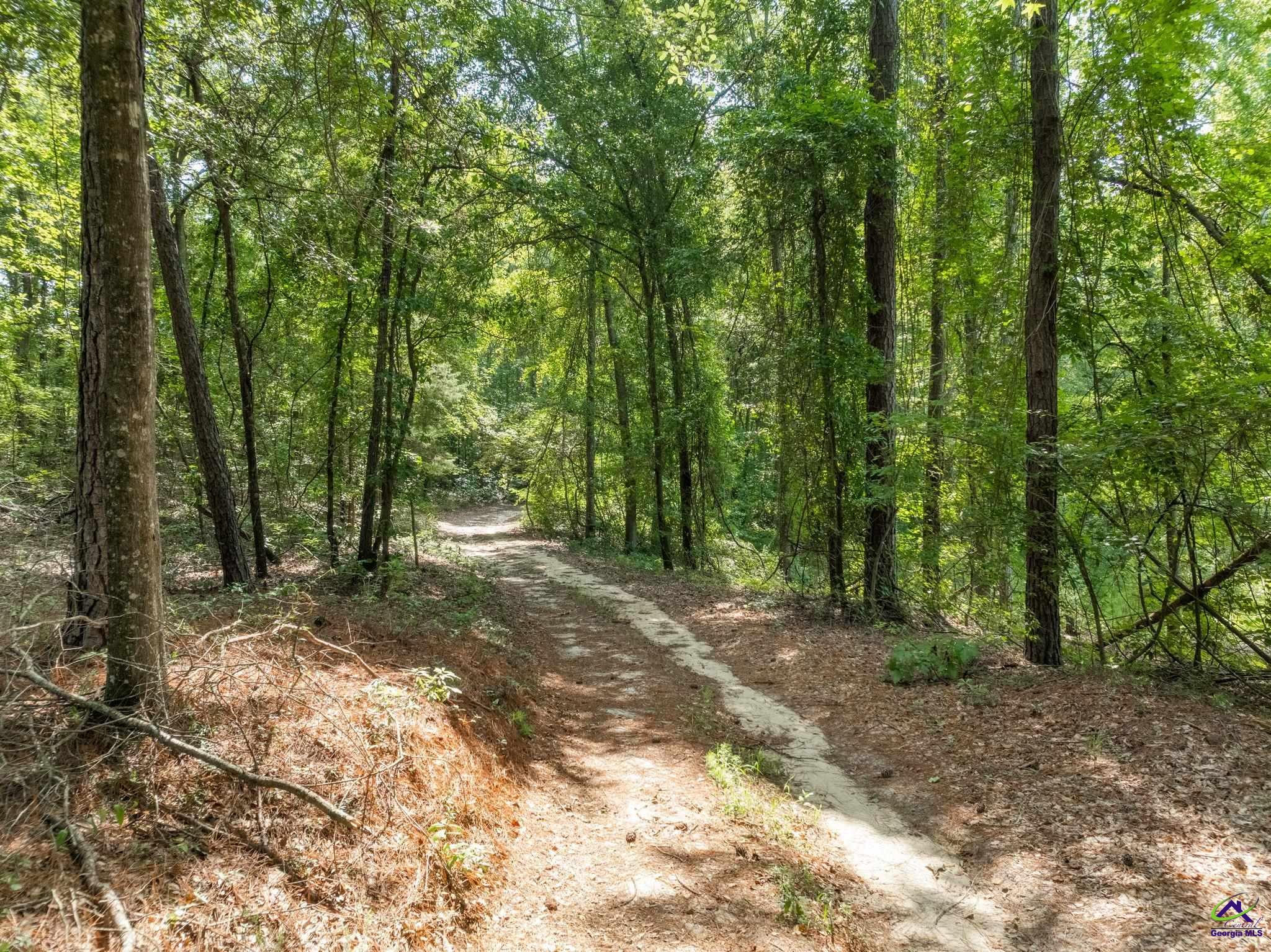 785 Moncrief Road
