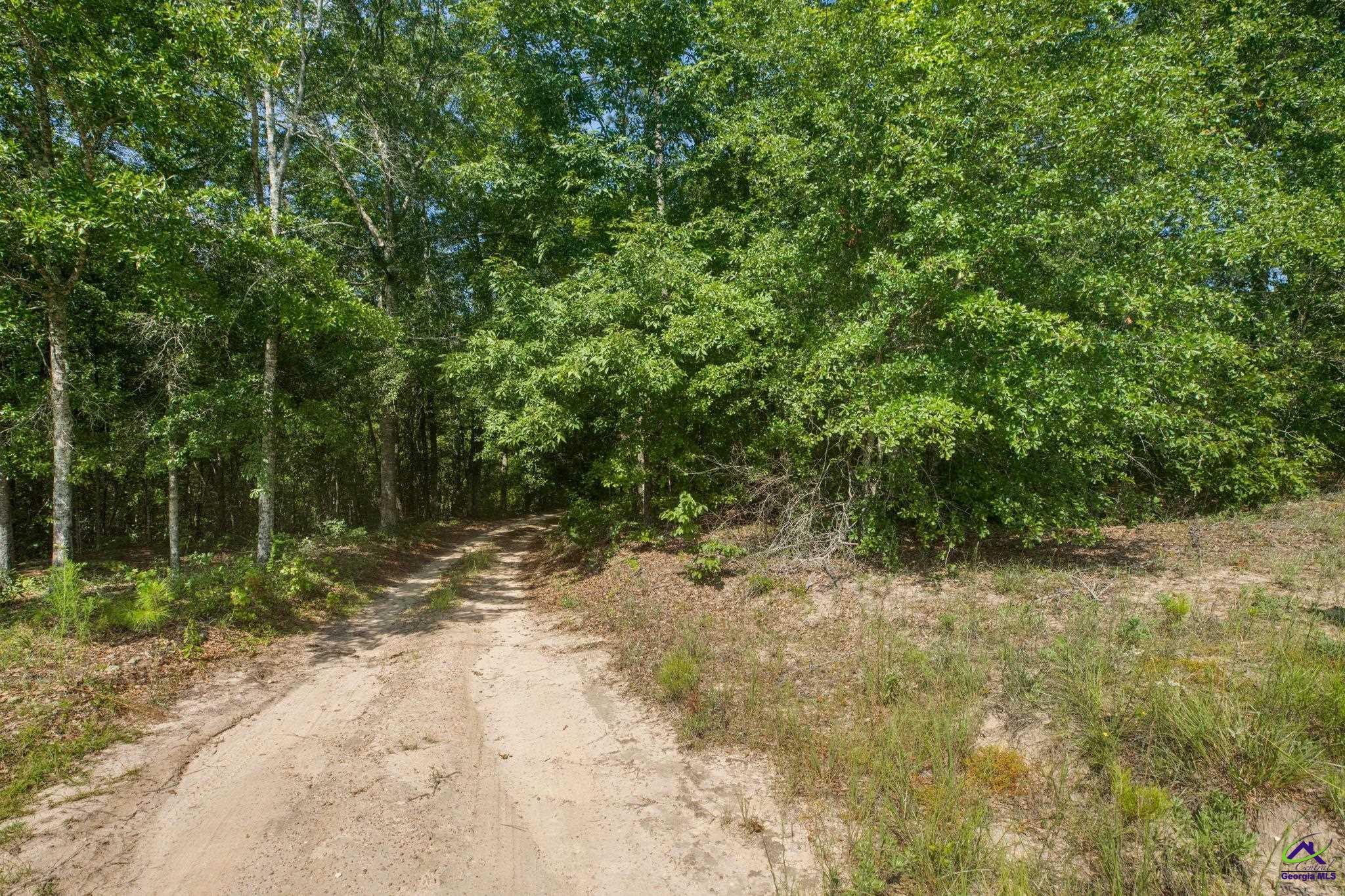 785 Moncrief Road