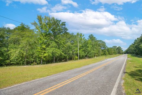 785 Moncrief Road Roberta GA 31078