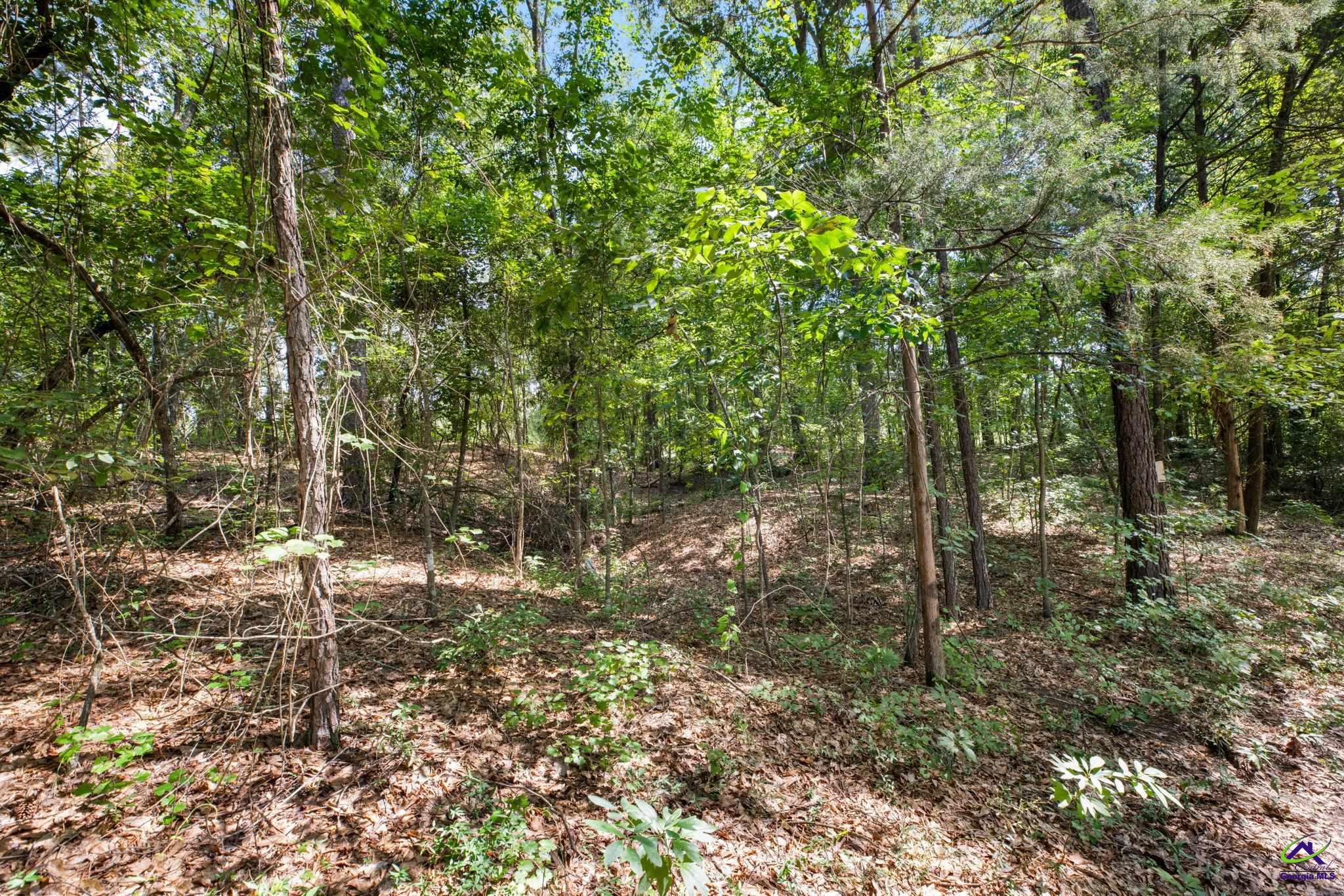 785 Moncrief Road