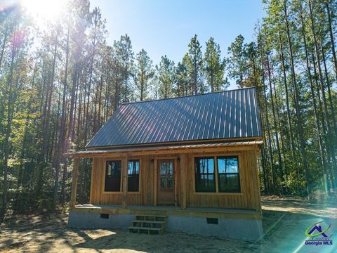 1190 wriley Road Irwinton GA 31042