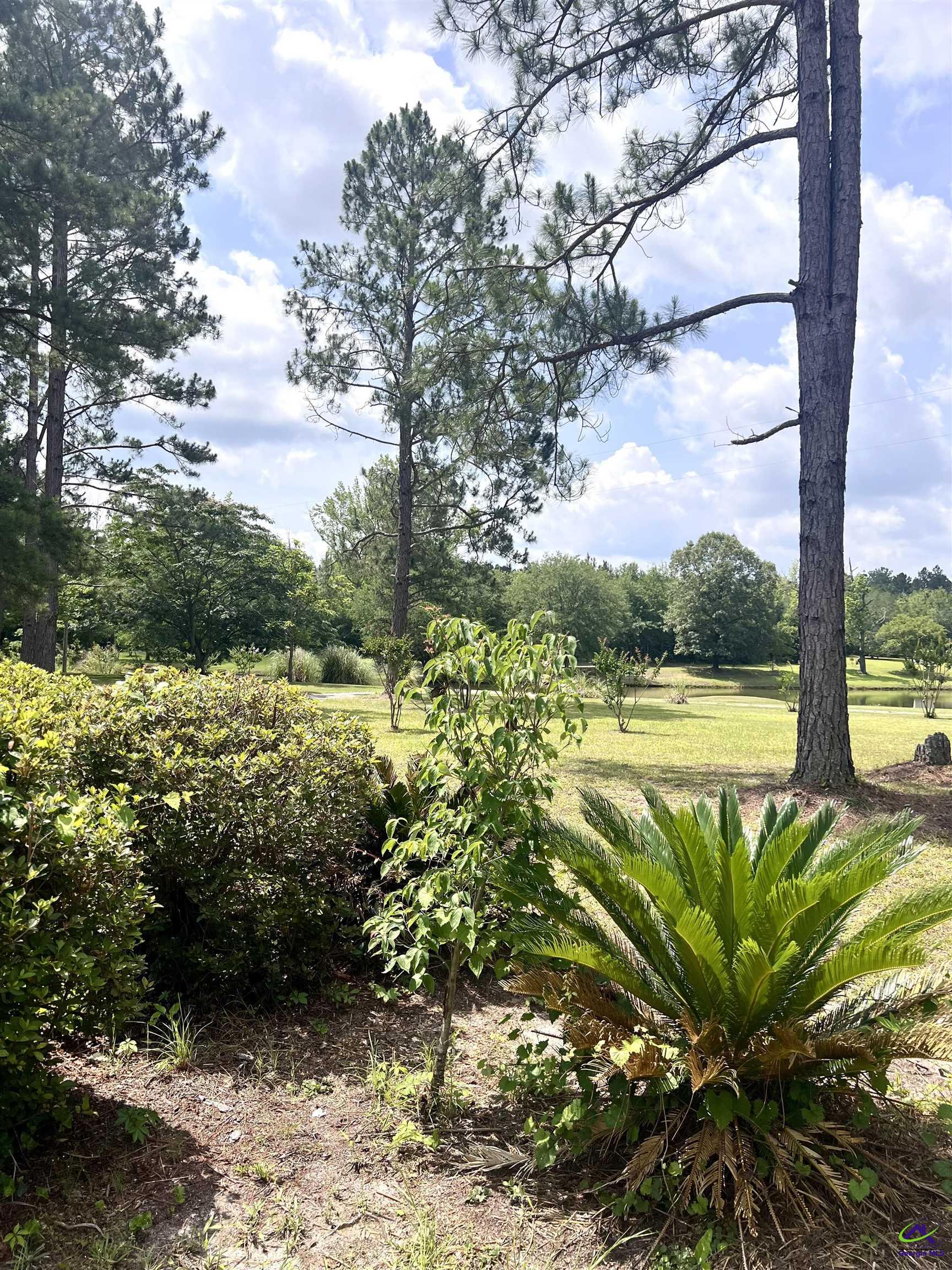 2019 Scharie Lane