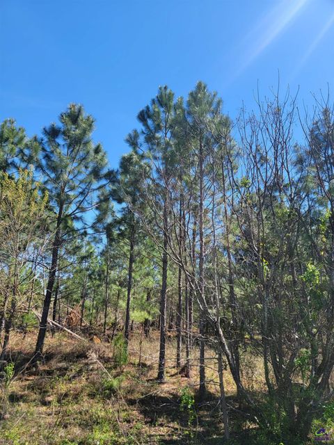 0 Benny Sharp Road Hawkinsville GA 31036