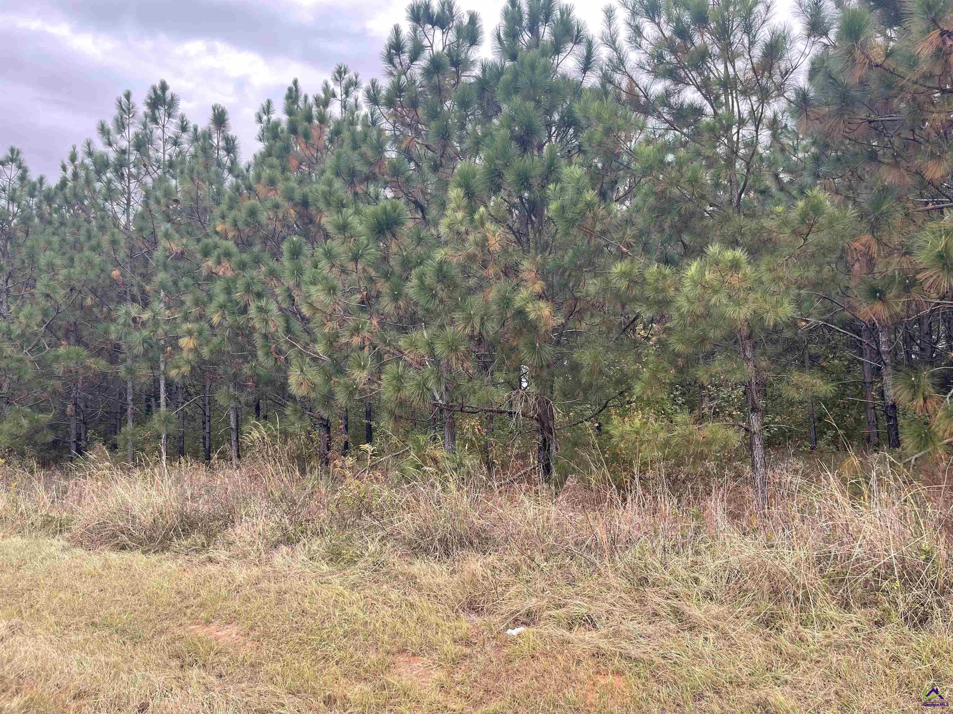 WOOLFOLK Road