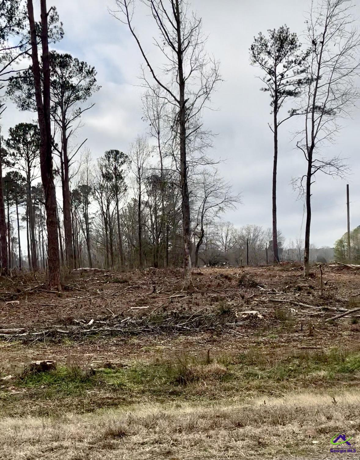 8290 Lower Thomaston Rd