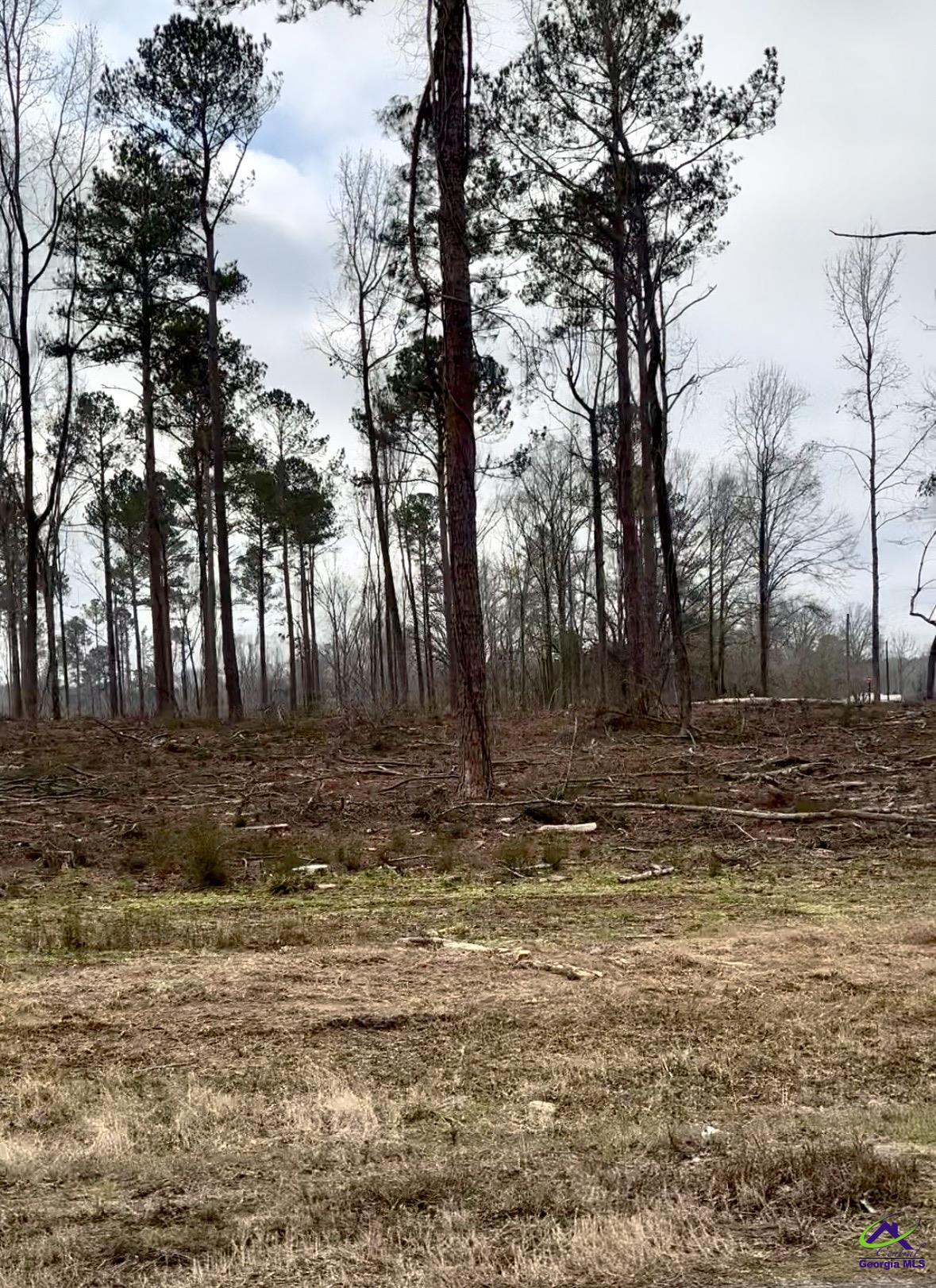 8290 Lower Thomaston Rd