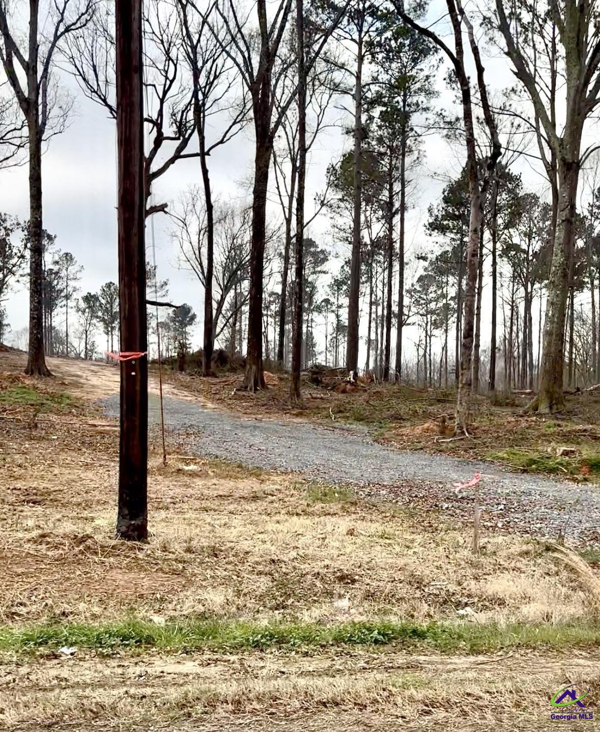 8290 Lower Thomaston Rd