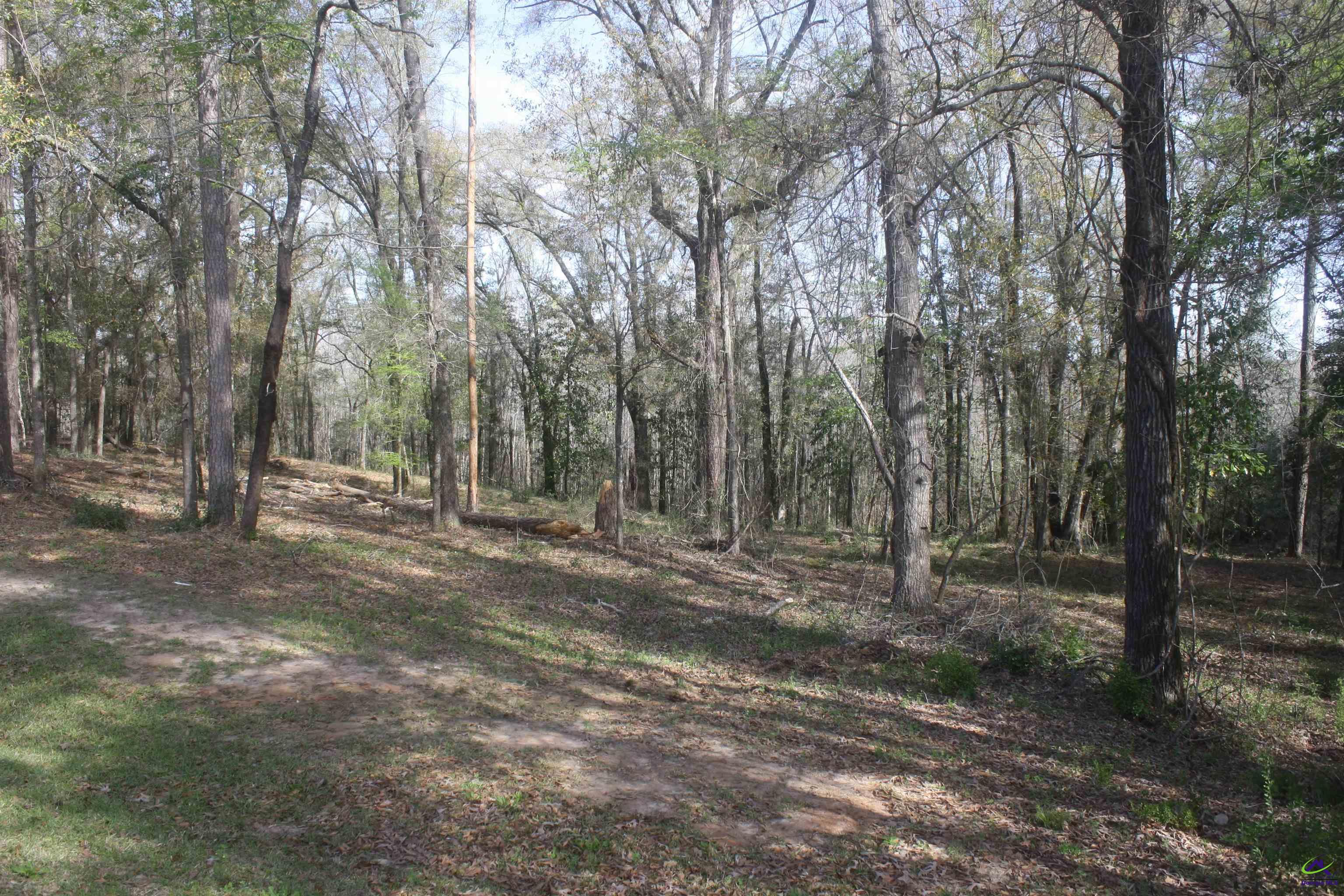 404 Big Oaks Road