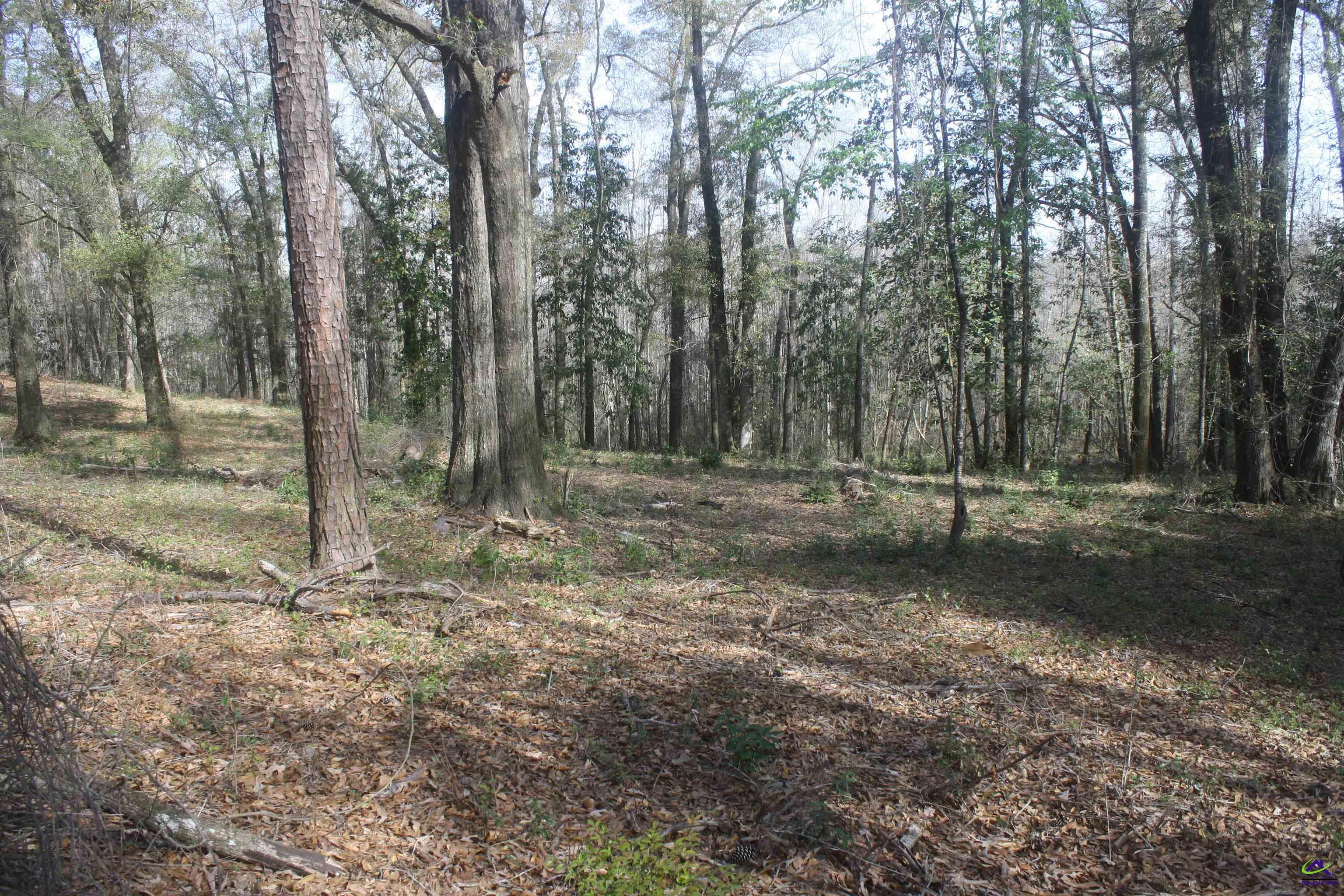 404 Big Oaks Road