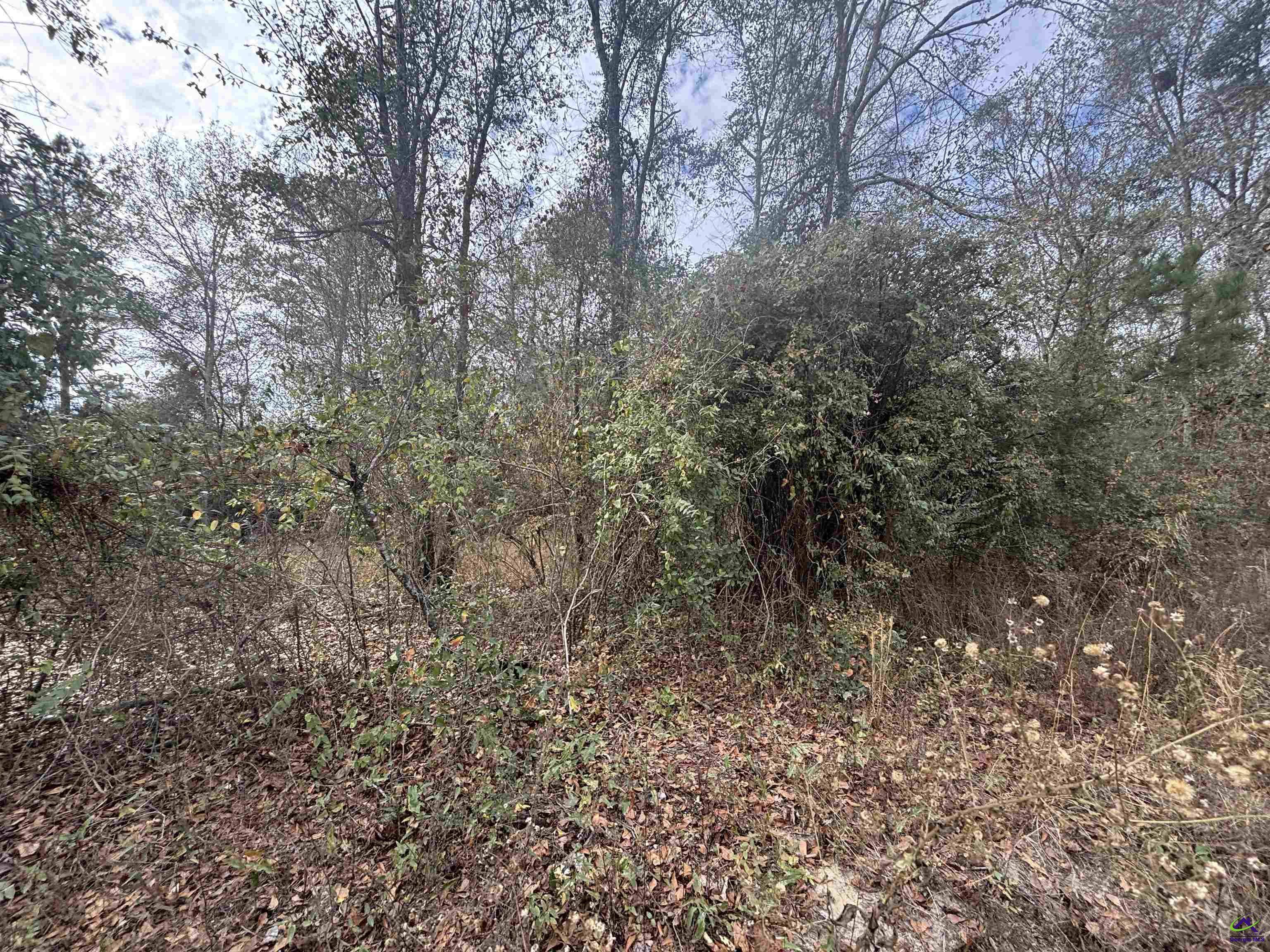 Parcel  A Wiggum Rd & St James Rd