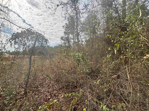 Parcel A Wiggum Rd & St James Rd Cochran GA 31014