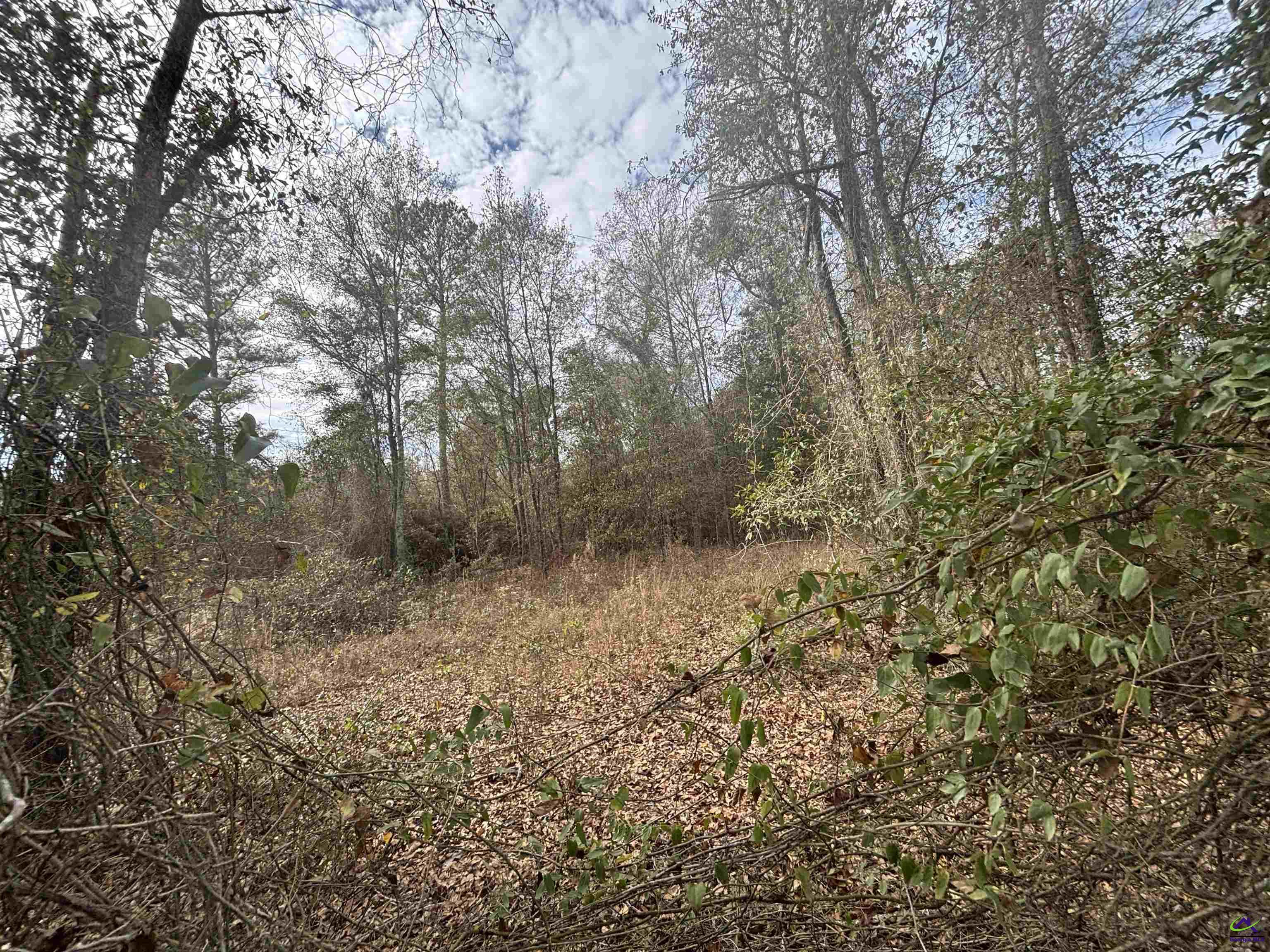 Parcel  A Wiggum Rd & St James Rd