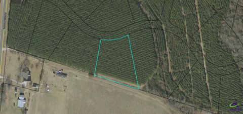 Lot 28 Evergreen Drive Cochran GA 31014