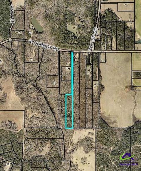 Flournoy Road Hawkinsville GA 31036