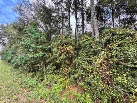 0 Elko Road Unadilla GA 