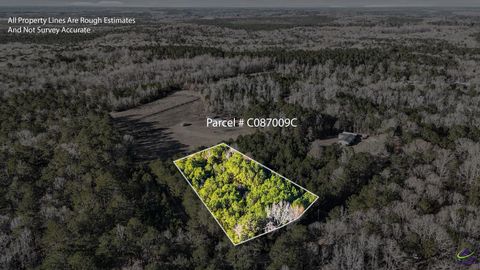 Giles Road Fort Valley GA 31030