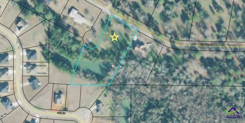 0 Craftway Drive Hawkinsville GA 31036