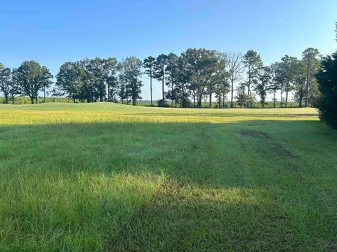 41 Crabapple Drive Hawkinsville GA 31036