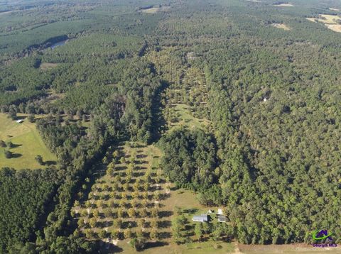 359 RALEIGH COBB Road Hawkinsville GA 31036