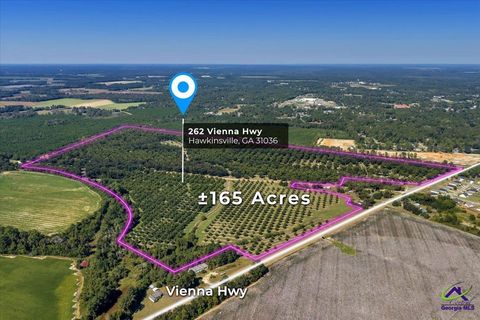 262 Vienna Highway Hawkinsville GA 31036