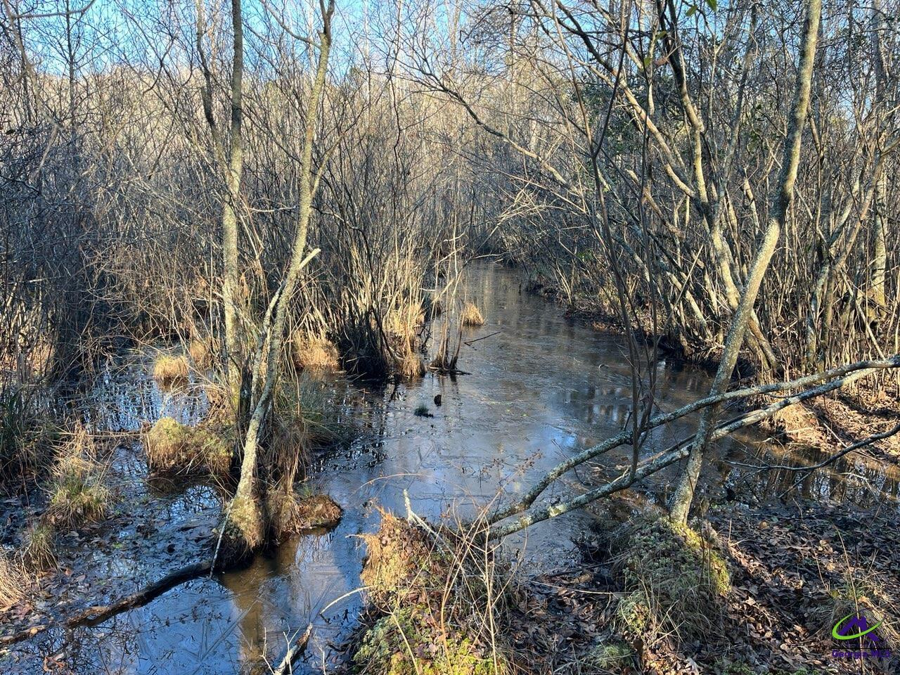 0 Peach Pkwy/Bible Camp Road