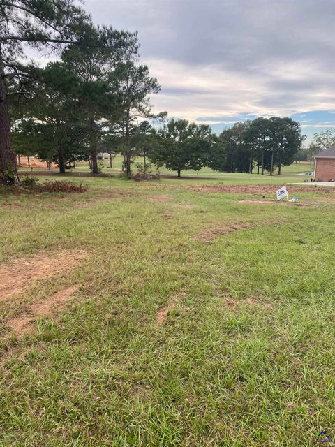 G70 River Ridge Hawkinsville GA 31036