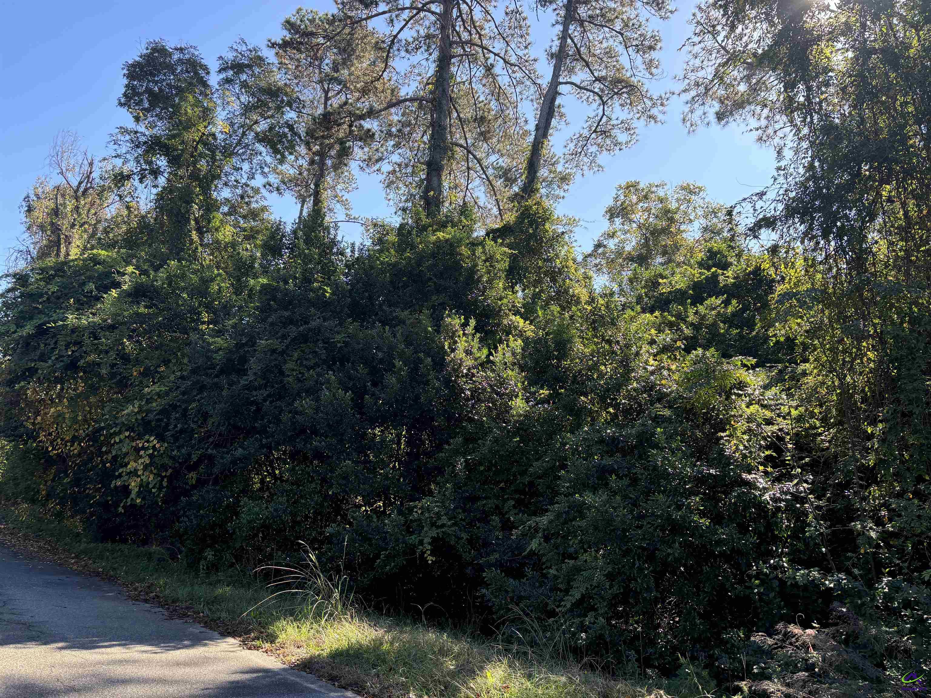 106 Ida Avenue