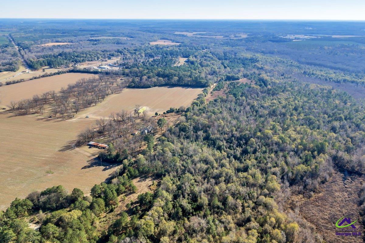 Sandbed Road/Hwy 247 Road