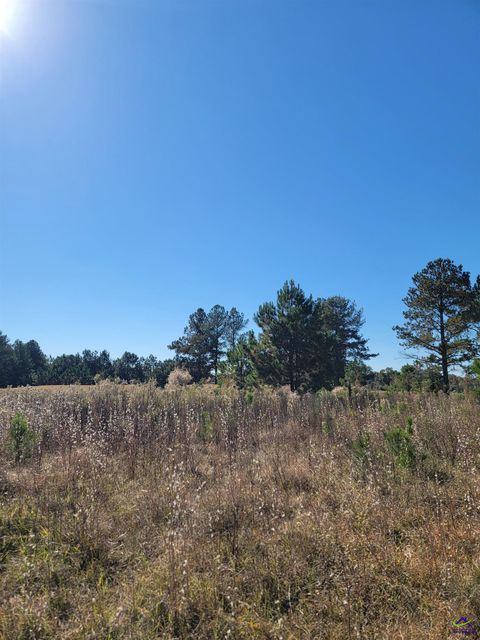 11 Lochridge Way Cordele GA 31015