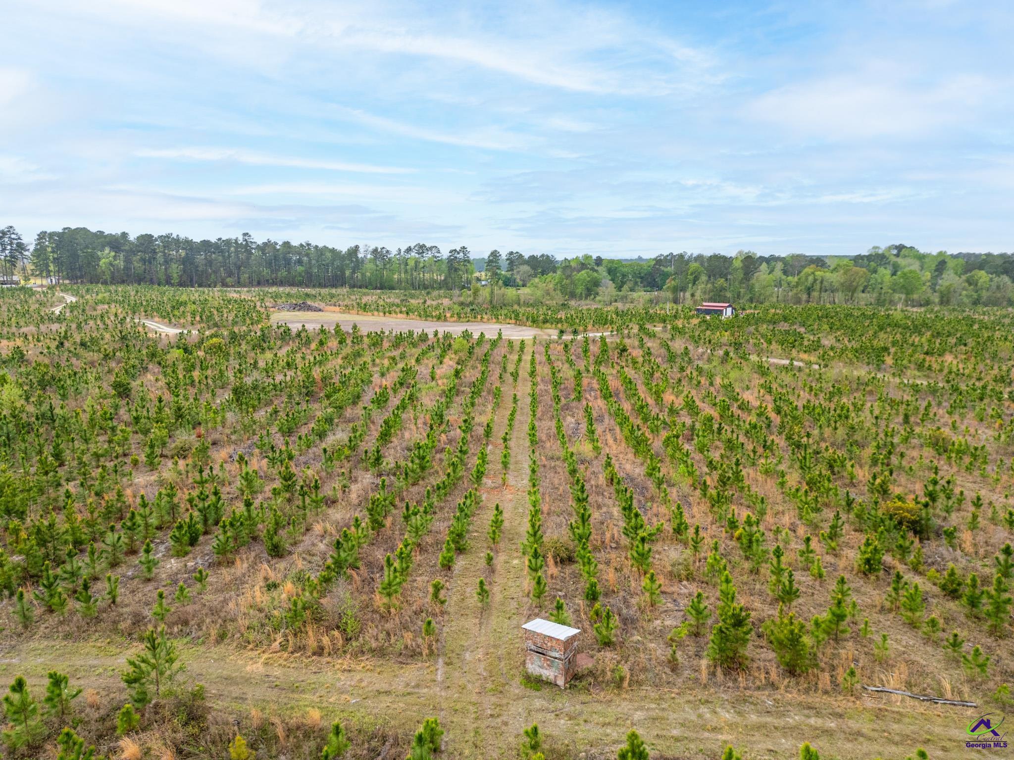 662 Chester-Cochran Highway