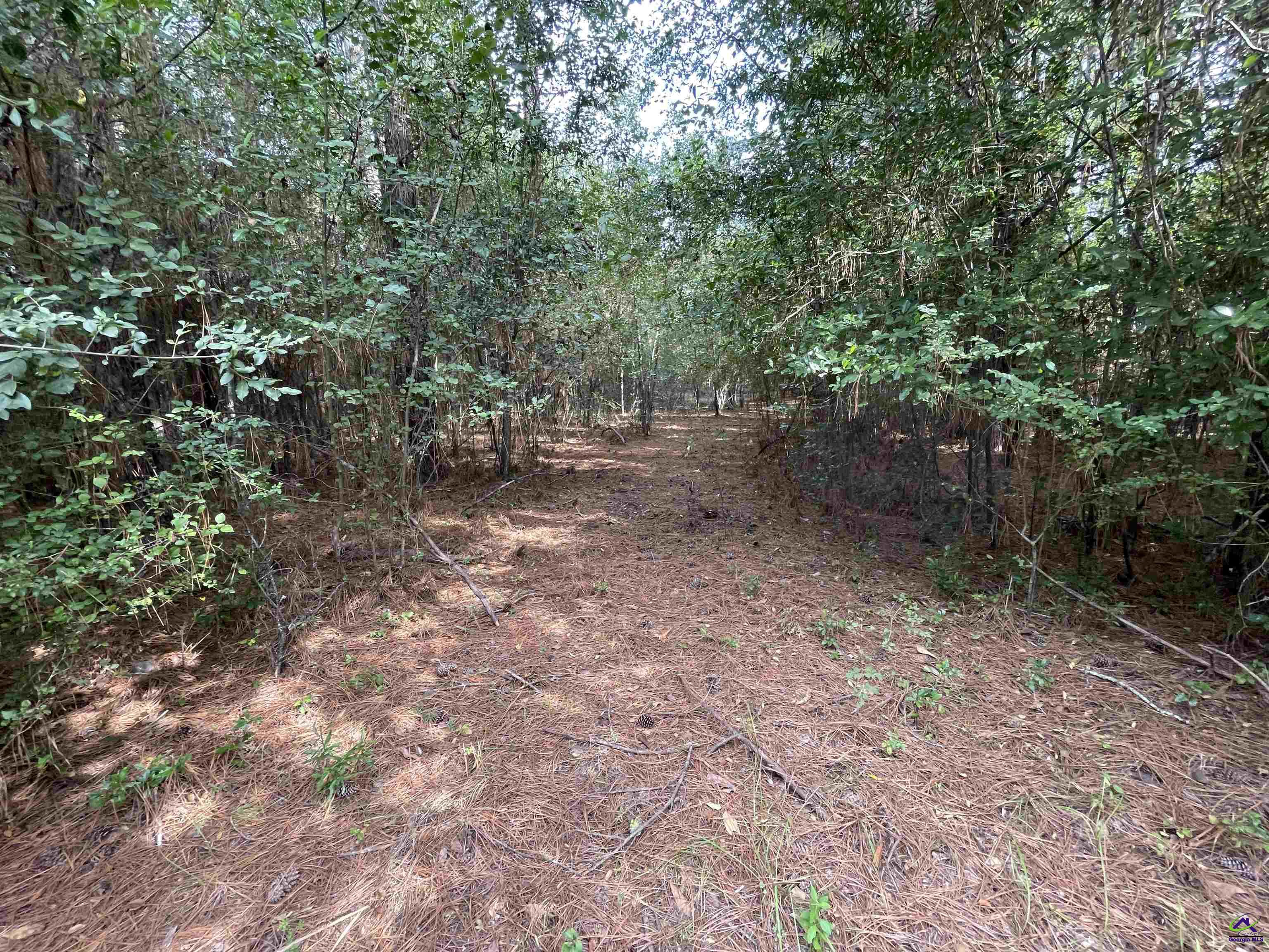 Lot 15 Honeysuckle Trail