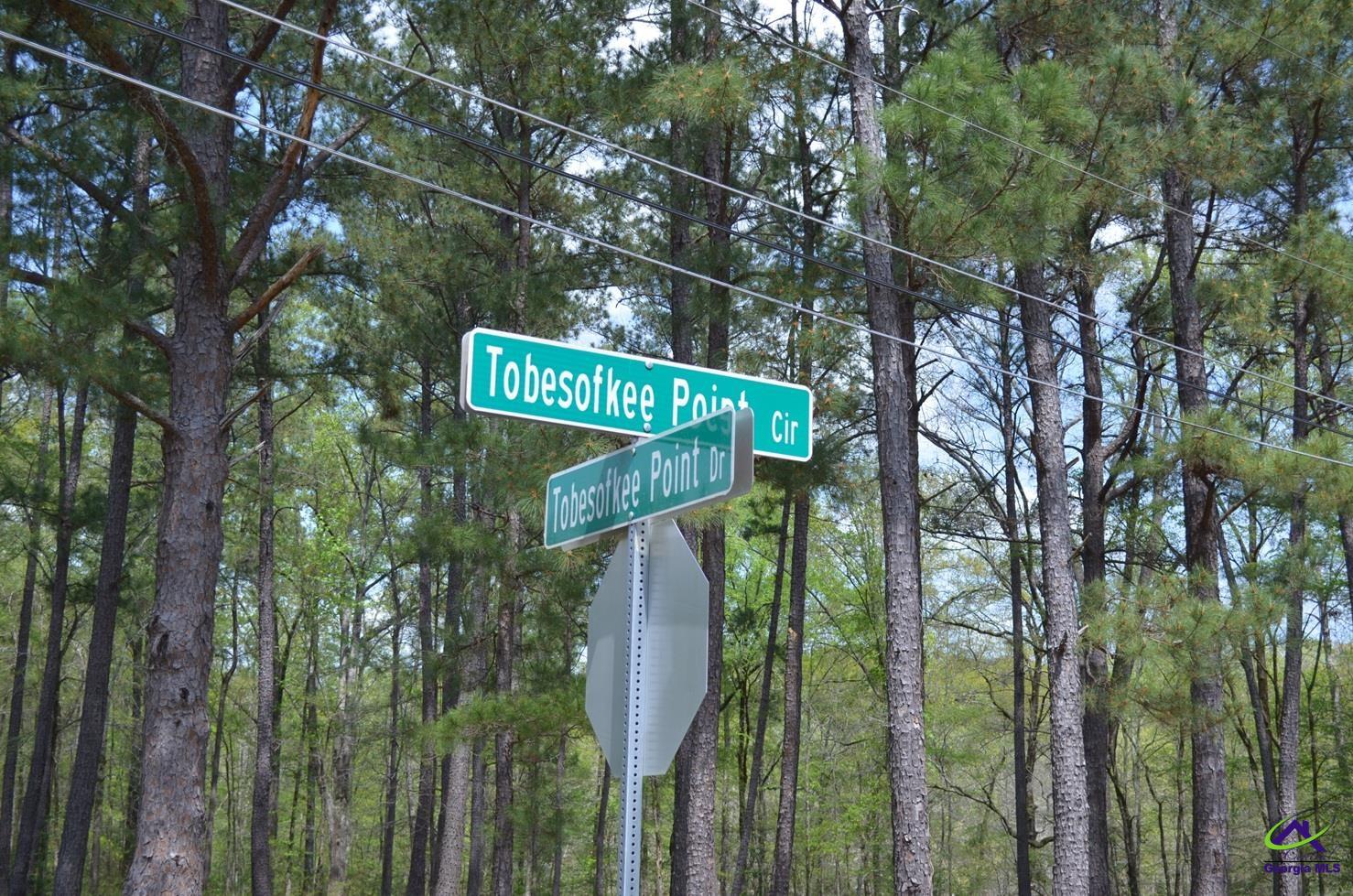 1539 Tobesofkee Point Drive
