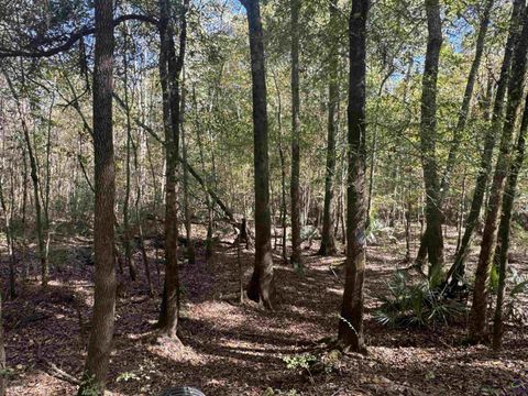 00 Sand Hammock Hawkinsville GA 31036