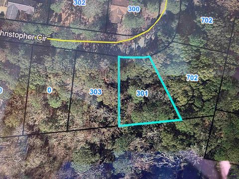 301 Christopher Circle Montezuma GA 31063