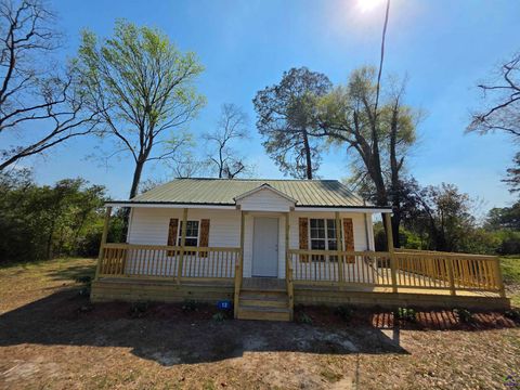 13 Massee Circle Hawkinsville GA 31036