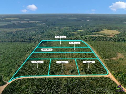 Parcel 12 Carl Rodgers Rd. Reynolds GA 31076